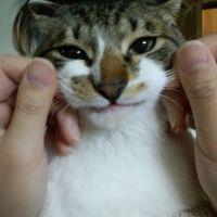 RORONOA 会員画像