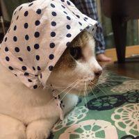 会員画像