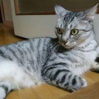 ばりー 会員画像