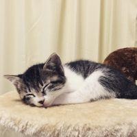 まつだいこ 会員画像