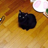 ばーら 会員画像