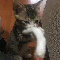 会員画像