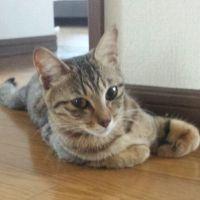 _miya_ 会員画像