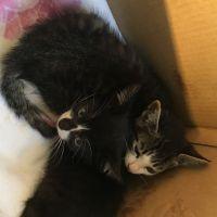 :・ます・: 会員画像