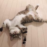 会員画像