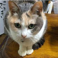 らんたりーた 会員画像