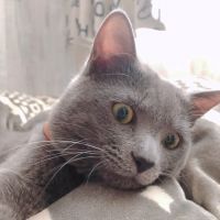 会員画像