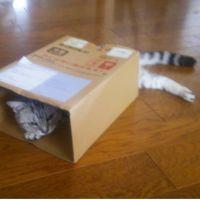 会員画像