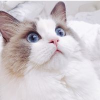 ぺーやん 会員画像