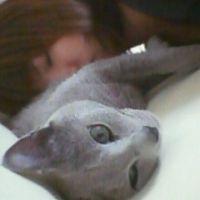 neo 会員画像
