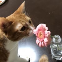 なナくサ 会員画像