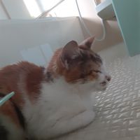 かまから 会員画像