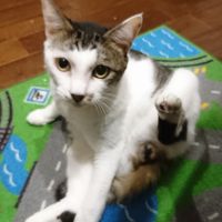 たいぷ 会員画像