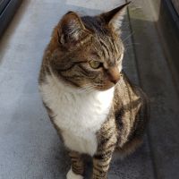 もずまり 会員画像
