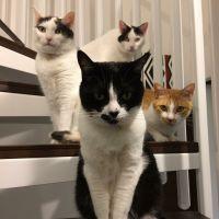 monching 会員画像