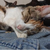 himari-riuda 会員画像