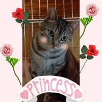 梅子ママ♡ 会員画像