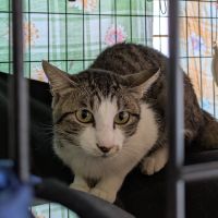 煌(きら)ママ 会員画像