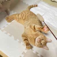 anzuさんさん