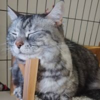 さ　ち