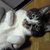 すずちゃん 会員画像