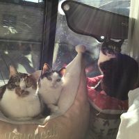 むぎなん 会員画像