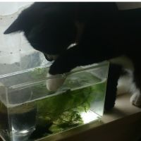 さんきち 会員画像