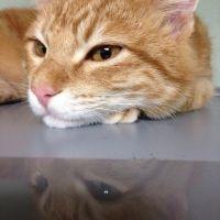 mayuunica23 会員画像