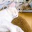※ニャンズ※