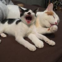 会員画像