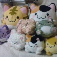 やっすー 会員画像