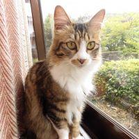 りゅうこ 会員画像