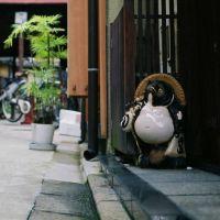 会員画像