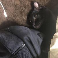 ゆかえのき 会員画像