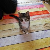 餃子好きさん