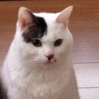クワマリ 会員画像