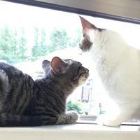 しゅうマム 会員画像