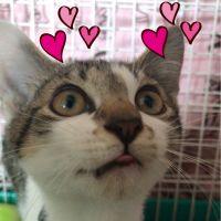 会員画像