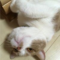 会員画像