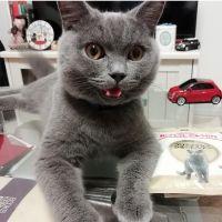 会員画像