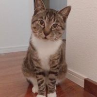 たーさん1225 会員画像