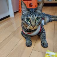 会員画像