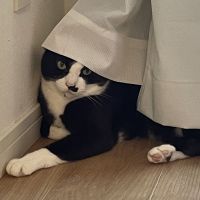 ジェットリーさん