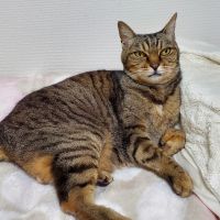 とみこママ 会員画像