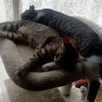 らら0420 会員画像