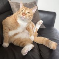 もんじろーさん