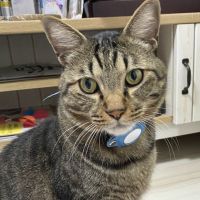 パキぶりさん