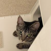 すずまい429 会員画像