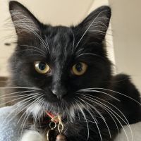 いわこさん 会員画像