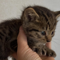 masa730 会員画像